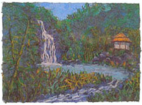 jungle house